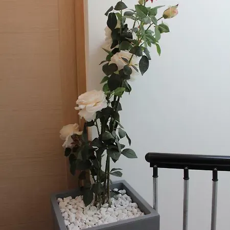 Etablissements Coulon - * Talence