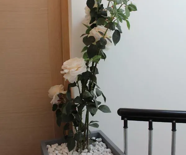 Etablissements Coulon - * Talence